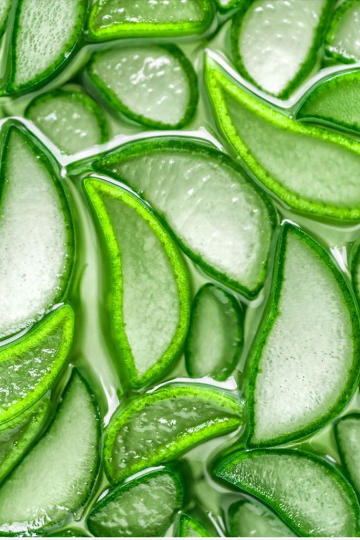 Aloe invigorating Creamy Shower Gel n°6