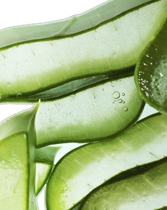 L'archive Aloe Vivifiant 06