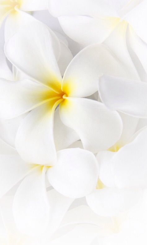 Gel douche crémeux Fleur de Monoï 05 100ml