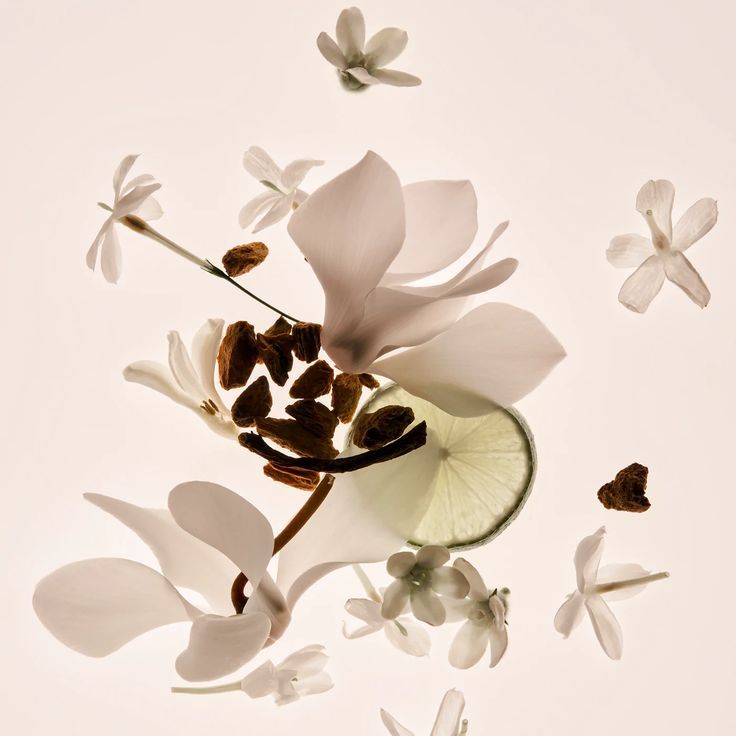 L'imparfait Vanille des Iles