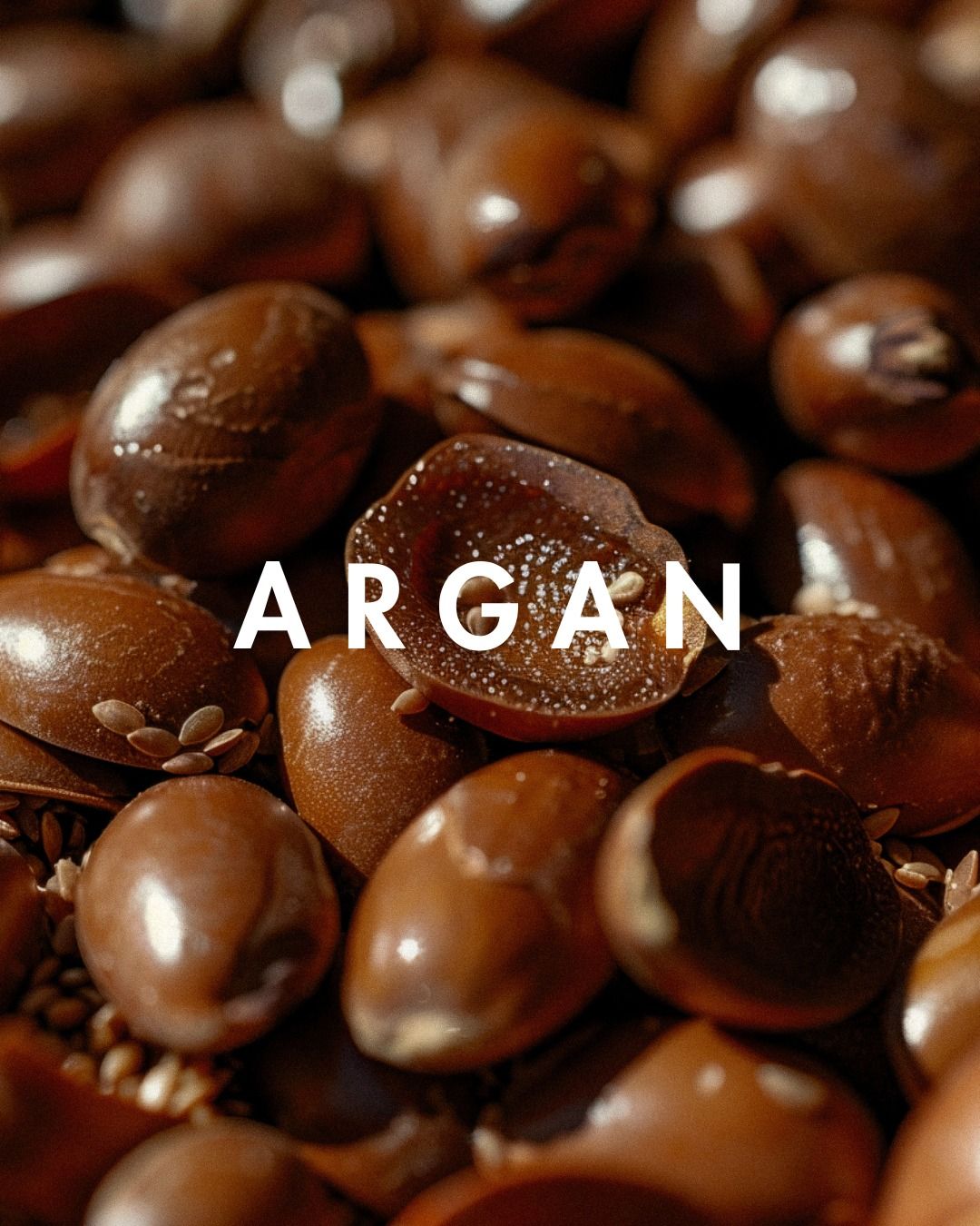 Argan Elixir 10