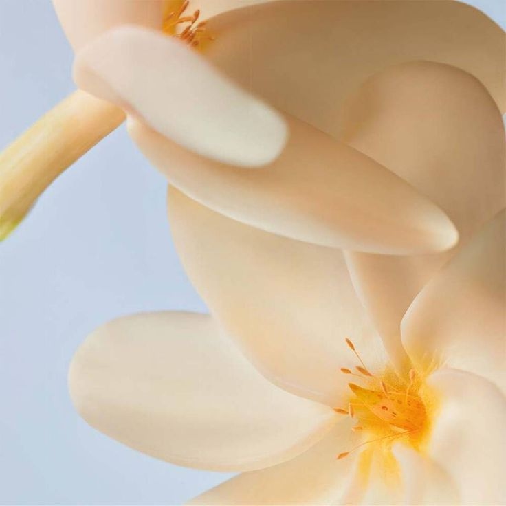 Fleur de Monoï Creamy Shower Gel n°5