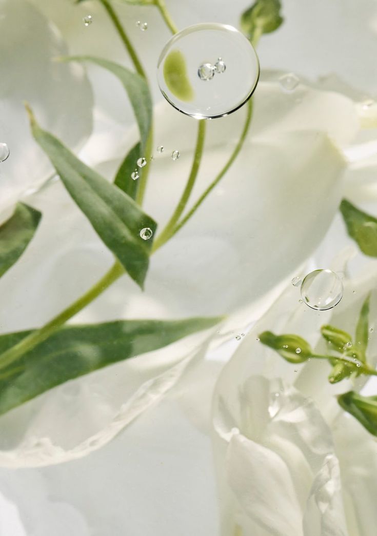 Thé Blanc Creamy Shower Gel n°4