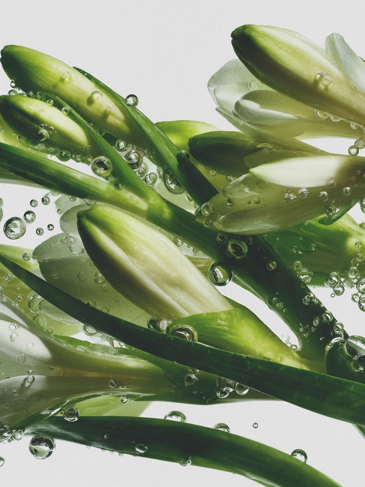 Verveine Fraîche Creamy Shower Gel n°3