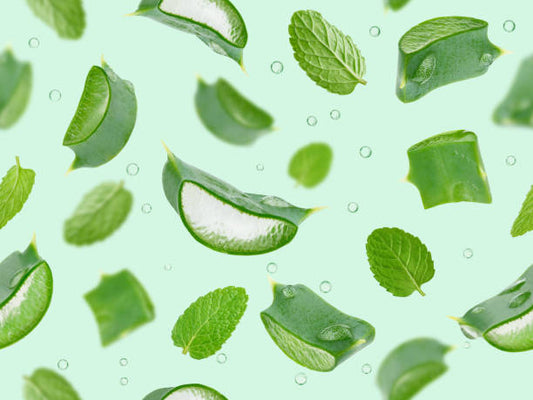 L'imparfait Aloe Vivifiant