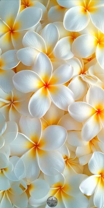 Creamy monoï flower shower gel 05